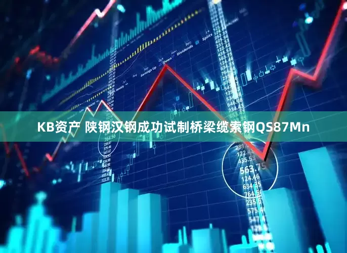 KB资产 陕钢汉钢成功试制桥梁缆索钢QS87Mn
