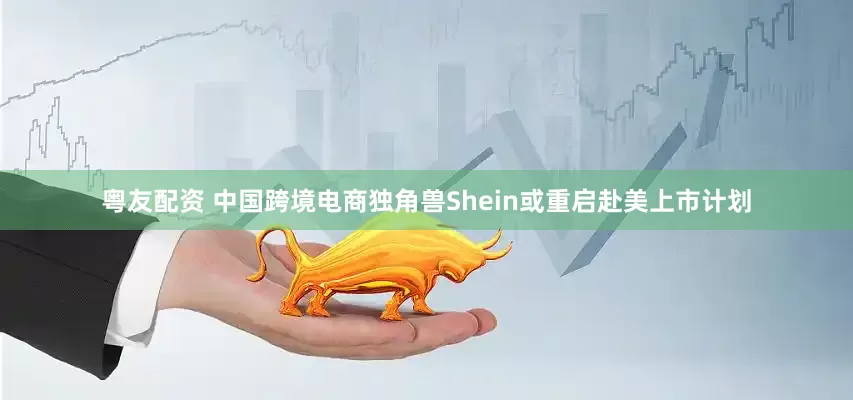 粤友配资 中国跨境电商独角兽Shein或重启赴美上市计划