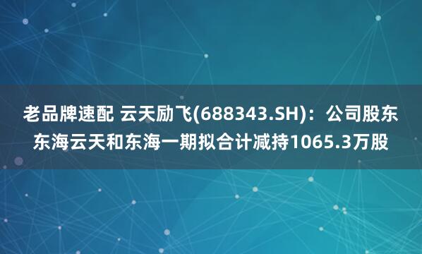 老品牌速配 云天励飞(688343.SH)：公司股东东海云天和东海一期拟合计减持1065.3万股