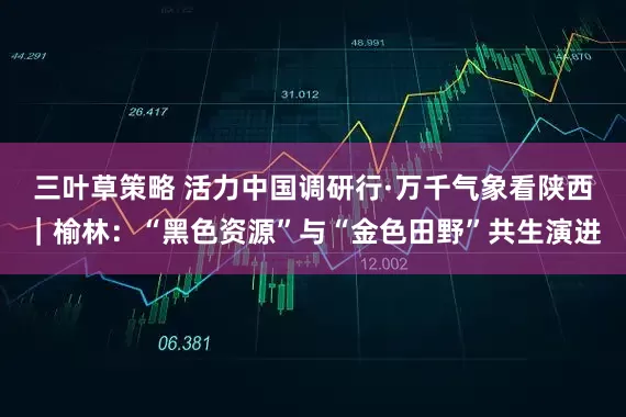 三叶草策略 活力中国调研行·万千气象看陕西｜榆林：“黑色资源”与“金色田野”共生演进