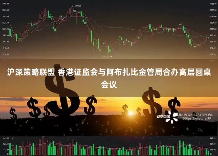 沪深策略联盟 香港证监会与阿布扎比金管局合办高层圆桌会议