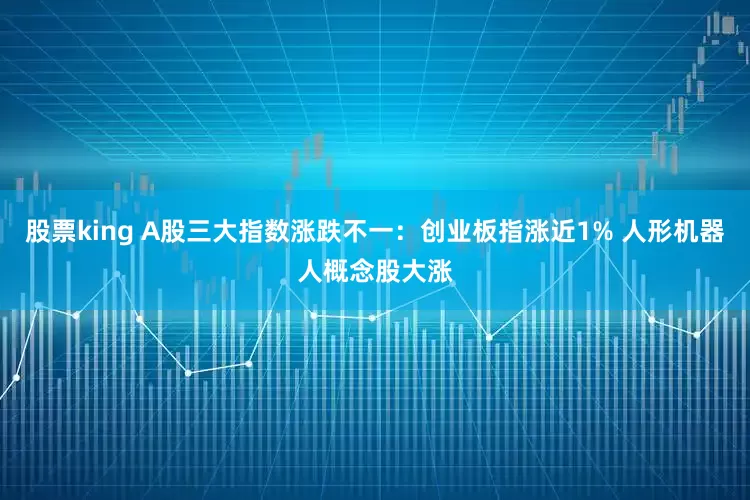 股票king A股三大指数涨跌不一：创业板指涨近1% 人形机器人概念股大涨